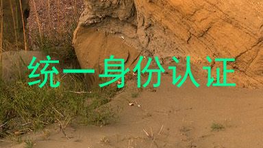 统一身份认证