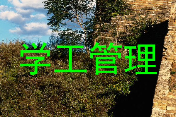 学工管理