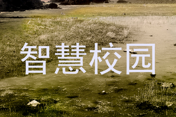 智慧校园