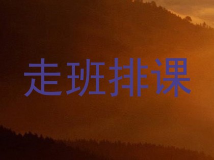 走班排课