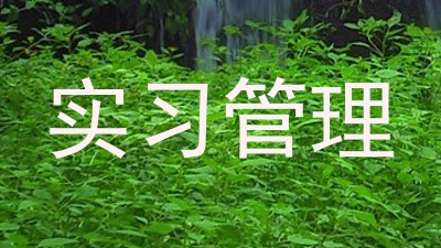 实习管理