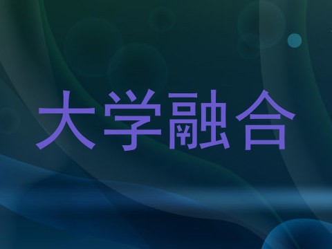 大学融合