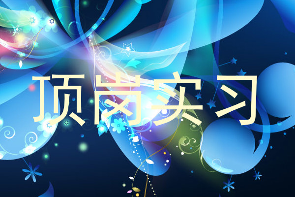 顶岗实习