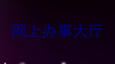 网上办事大厅