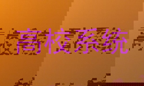 高校系统