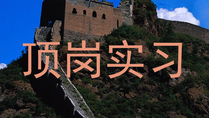 顶岗实习