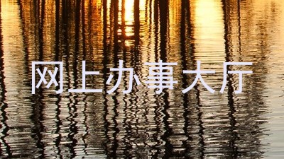 网上办事大厅