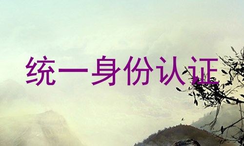 统一身份认证