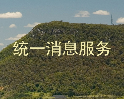 统一消息服务