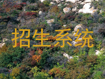 招生系统