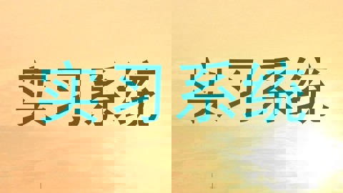 实习系统