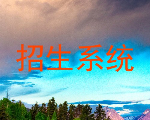 招生系统