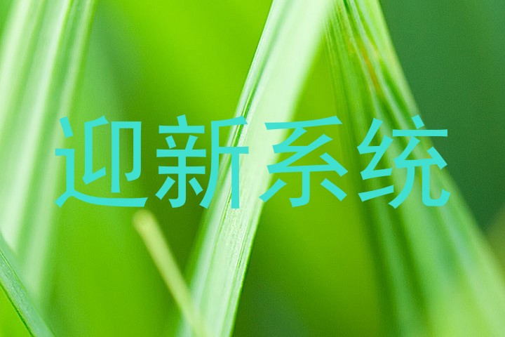 迎新系统
