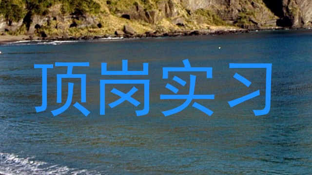 顶岗实习
