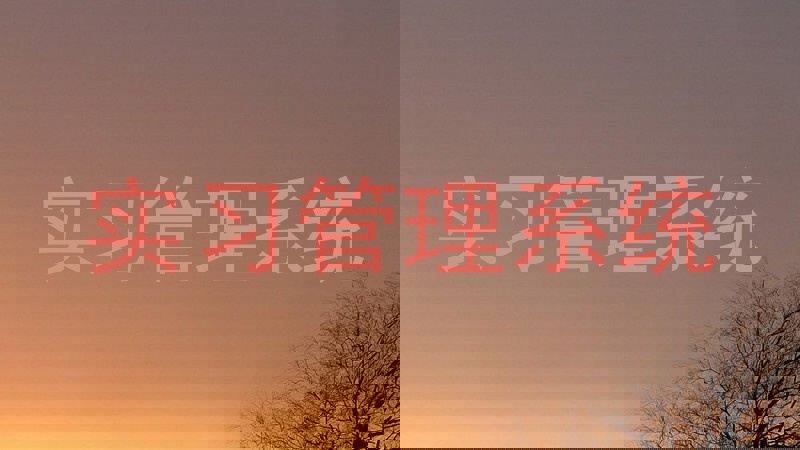 实习管理系统