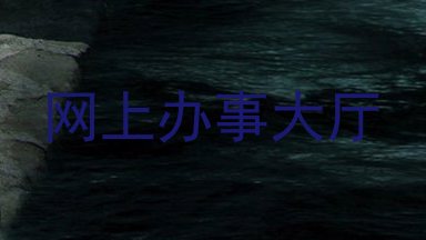 网上办事大厅