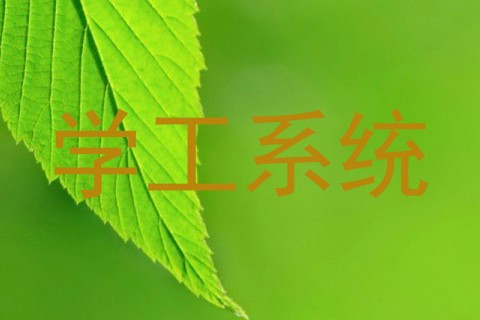 学工系统