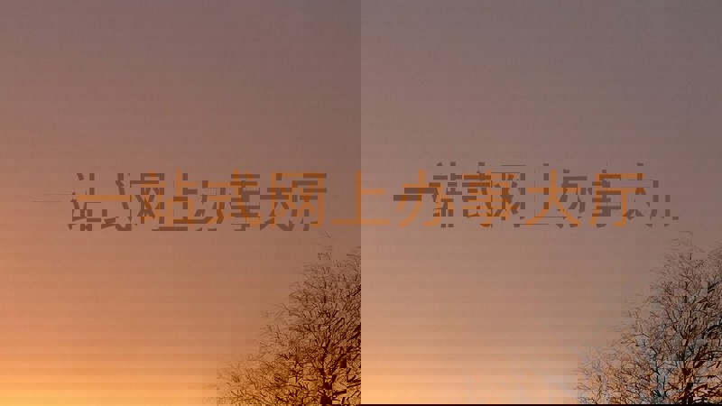 一站式网上办事大厅