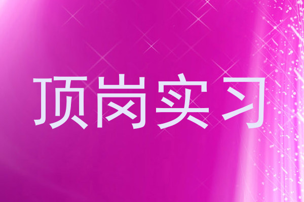 顶岗实习