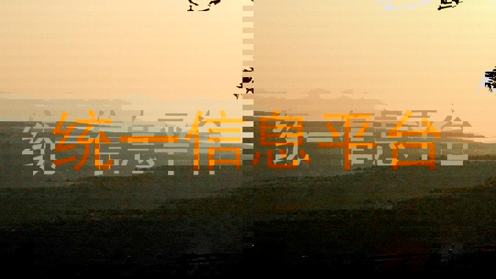 统一信息平台
