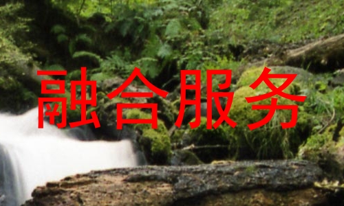 融合服务