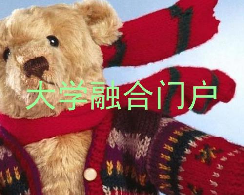 大学融合门户