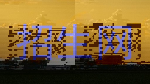 招生网