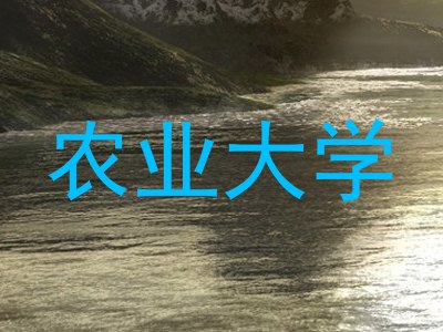 农业大学