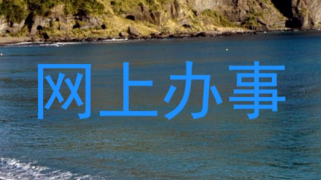 网上办事