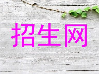 招生网