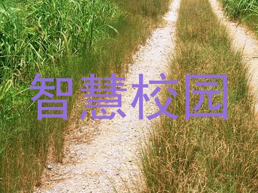 智慧校园