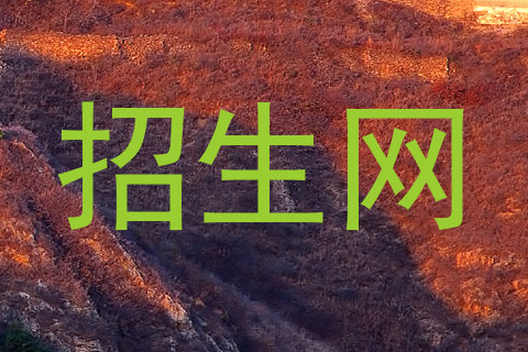 招生网