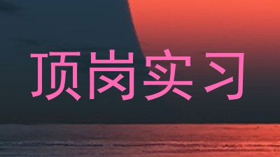 顶岗实习