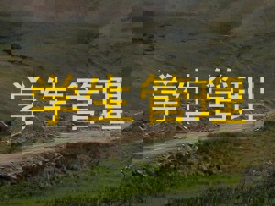 学生管理