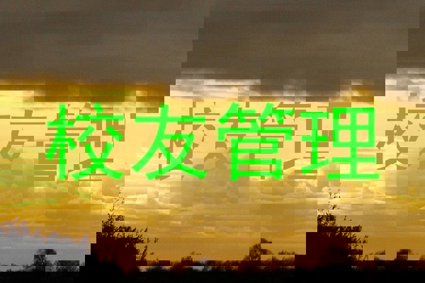 校友管理
