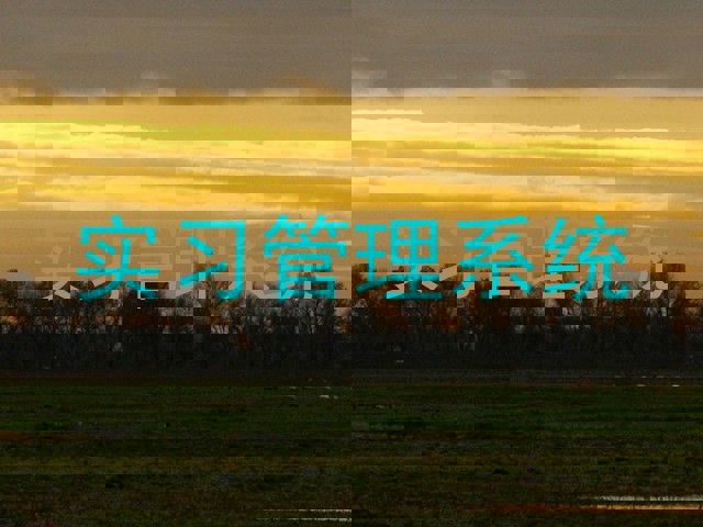 实习管理系统