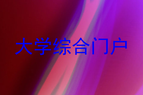 大学综合门户