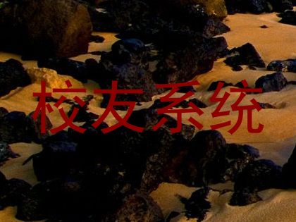 校友系统
