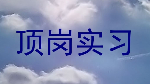 顶岗实习