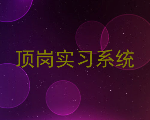 顶岗实习系统