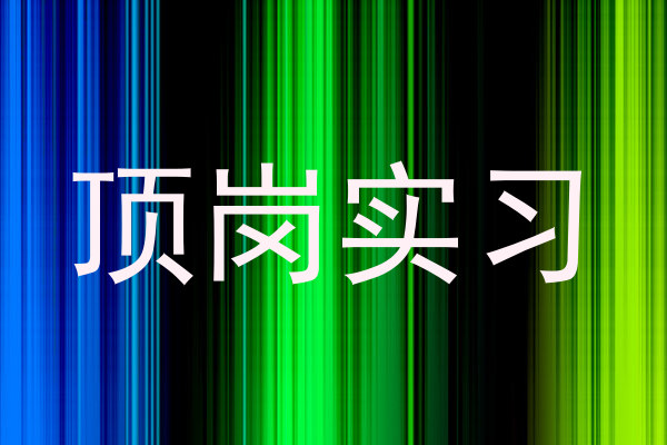 顶岗实习
