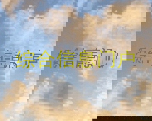 综合信息门户