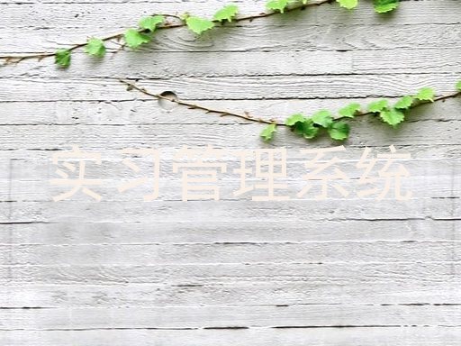 实习管理系统