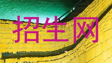 招生网