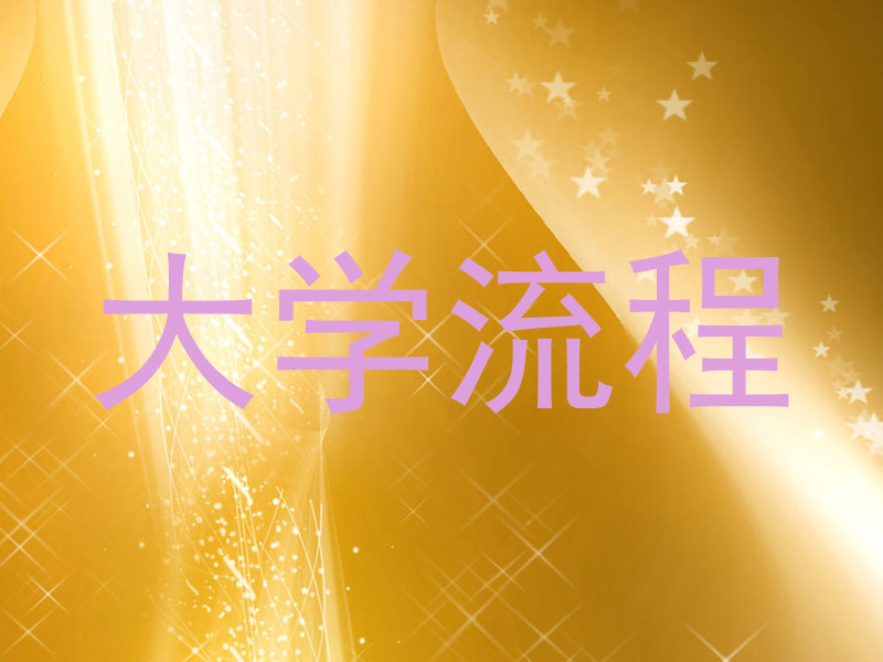 大学流程