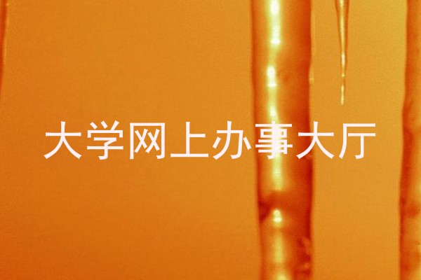 大学网上办事大厅