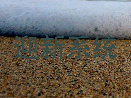 迎新系统