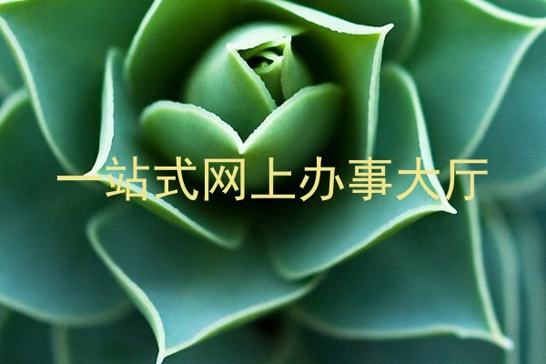 一站式网上办事大厅