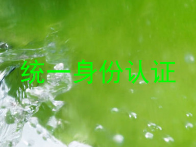 统一身份认证