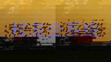 校友会系统